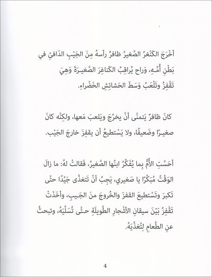 Graded Reading Series: Level 4 (Set of 4 Books) سلسلة القراءة المتدرجة