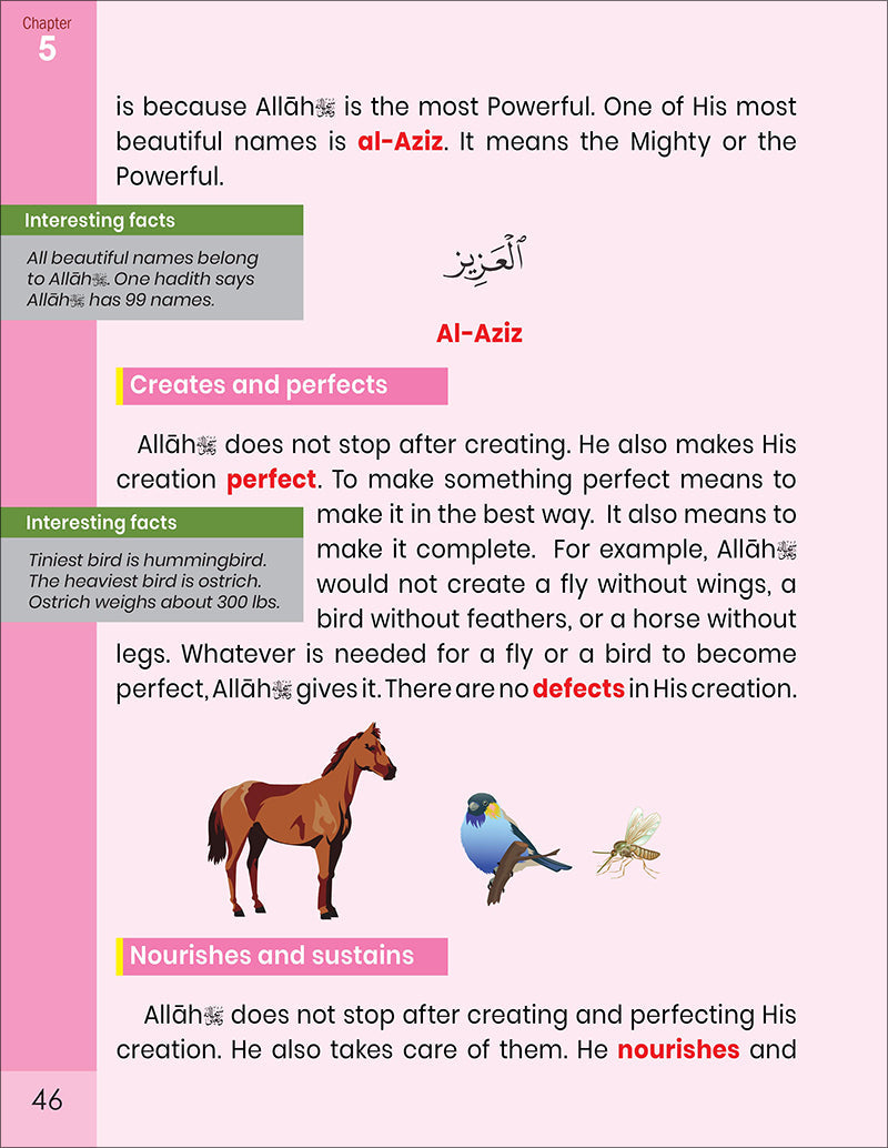 The Message of Islam Textbook: Level 2