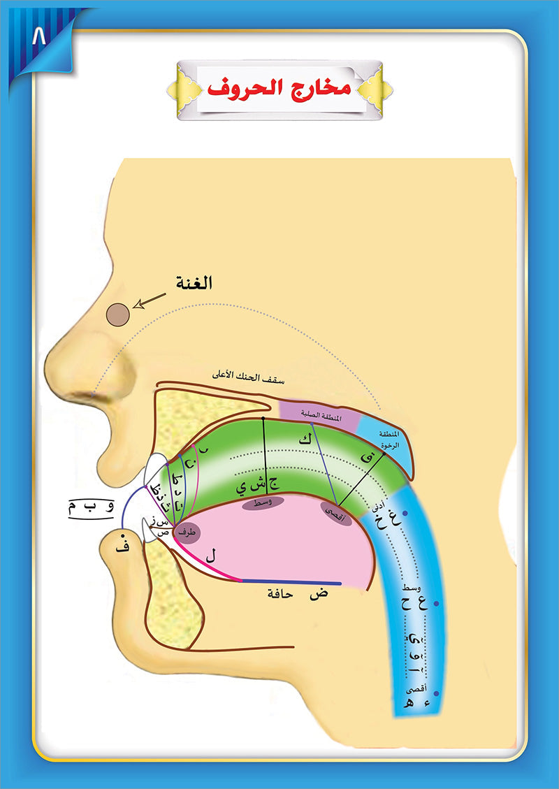 The Integrated Establishment: Volume 7 (Simplified Tajweed Book) التأسيس المتكامل: كتاب التجويد الميسر
