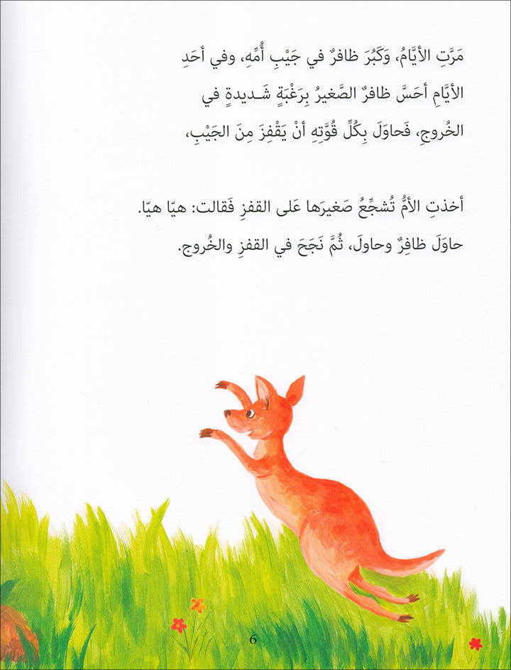 Graded Reading Series: Level 4 (Set of 4 Books) سلسلة القراءة المتدرجة