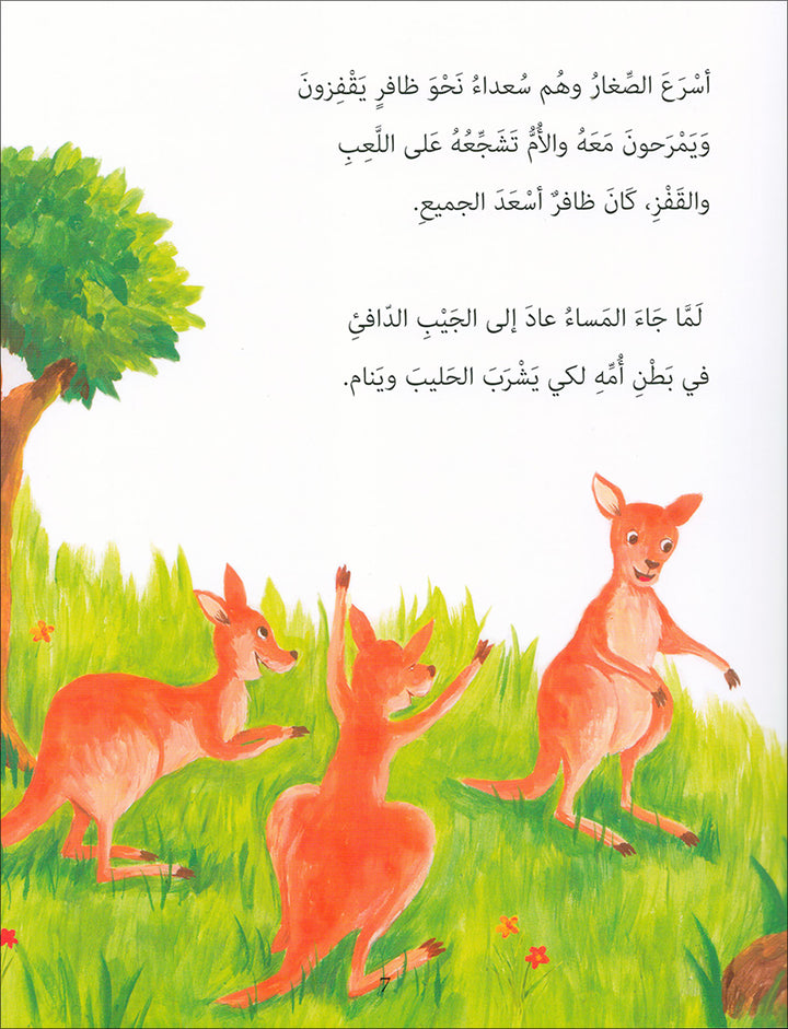 Graded Reading Series: Level 4 (Set of 4 Books) سلسلة القراءة المتدرجة