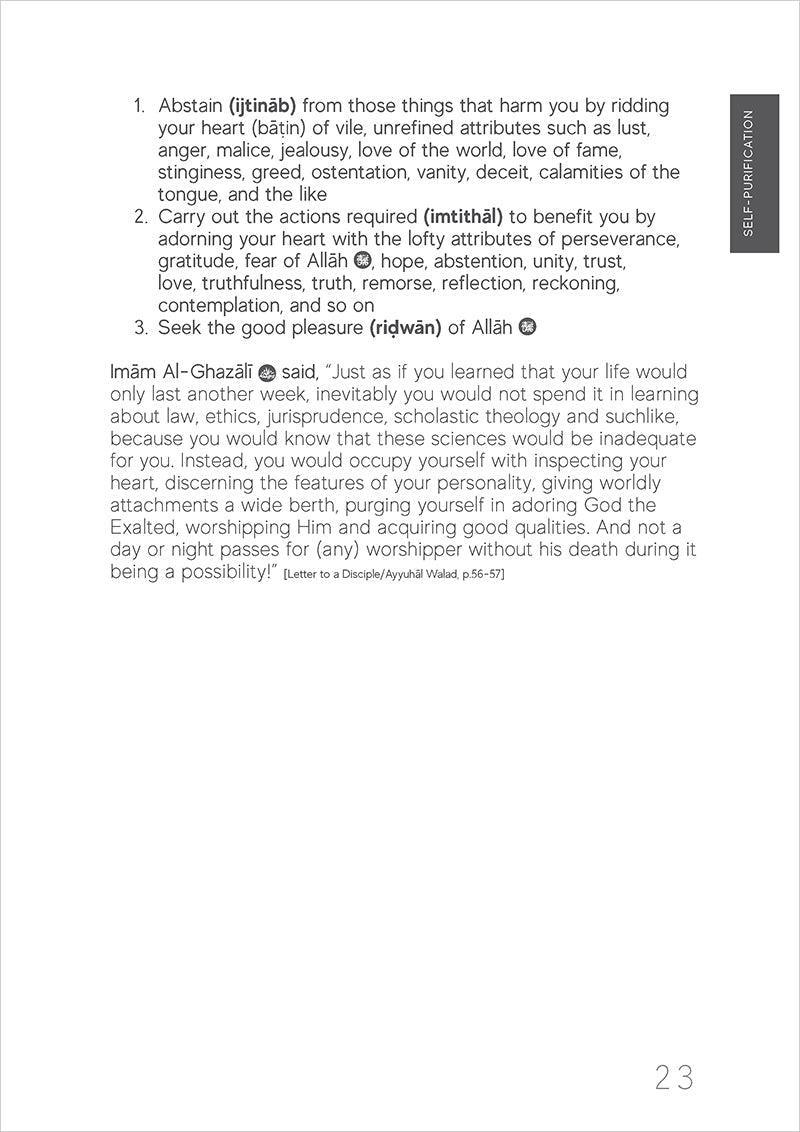 A Handbook of Spiritual Medicine (Paperback)