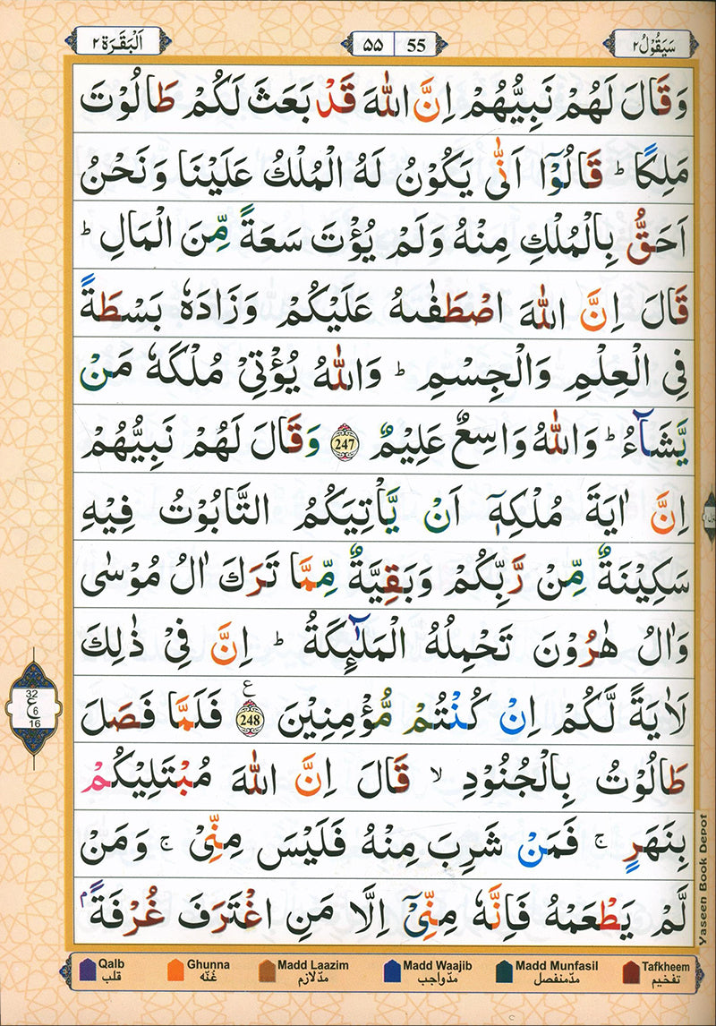 Color Coded Panj Para with Tajweed Rules | English/Urdu (Juz 1-5) HB