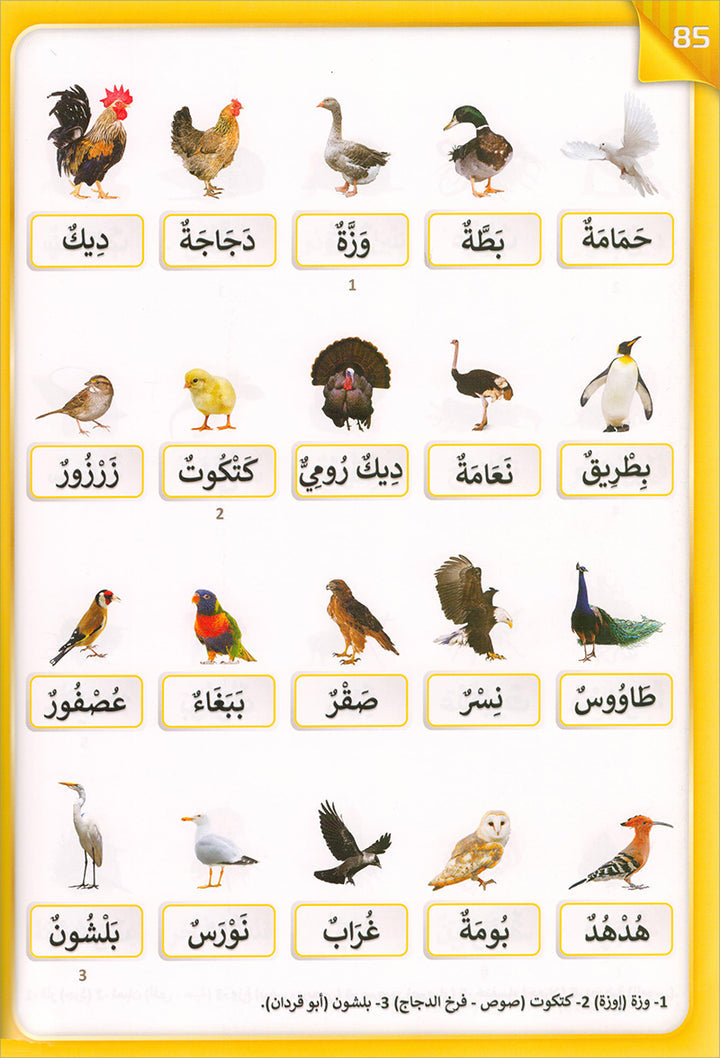The Integrated Foundation: Volume 5 (Alphabet Picture Dictionary) التأسيس المتكامل: كتاب معجم صور الحروف