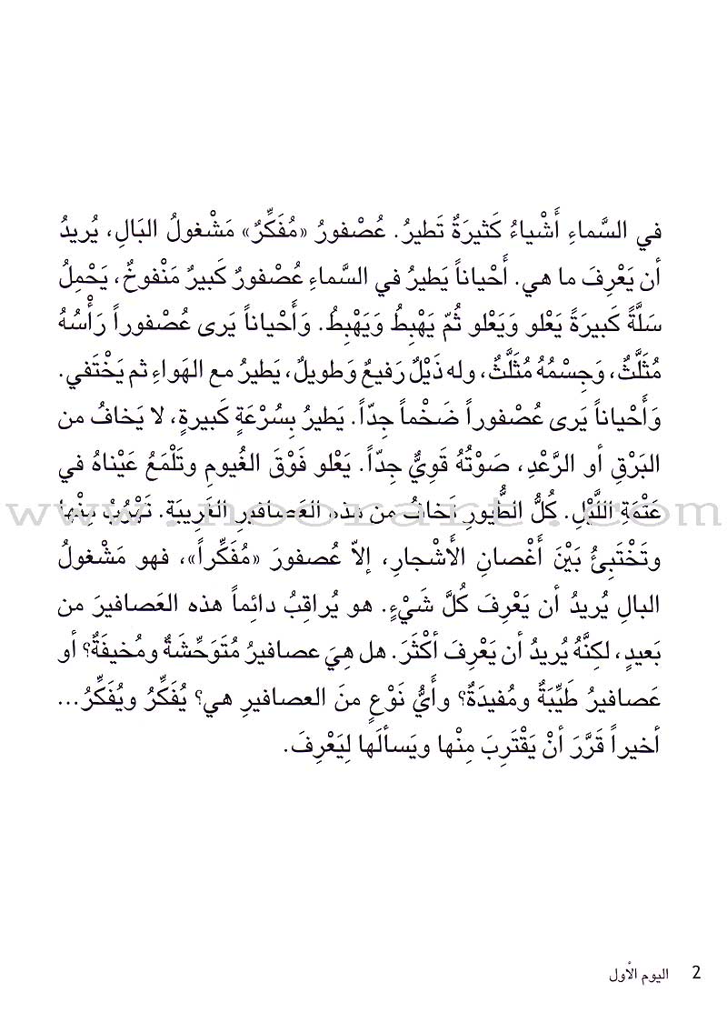 Step by Step Stories - In the Sky: Level 5 (3 Books) قصص خطوة خطوة