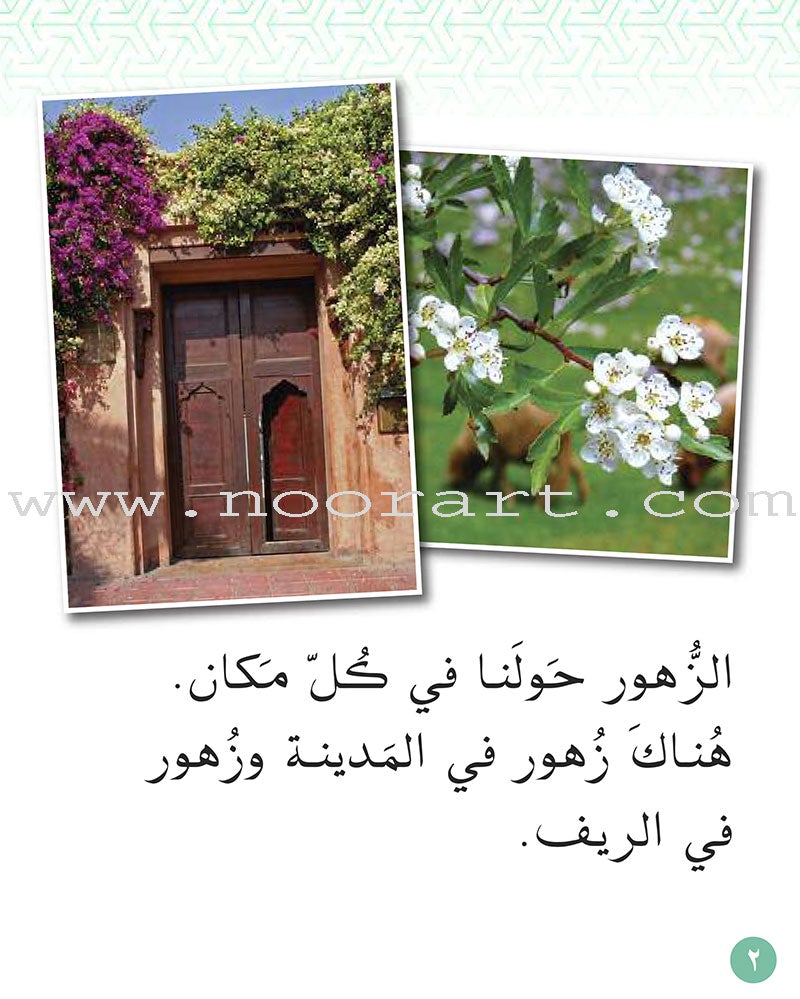 Small Wonders Level 1: Flowers