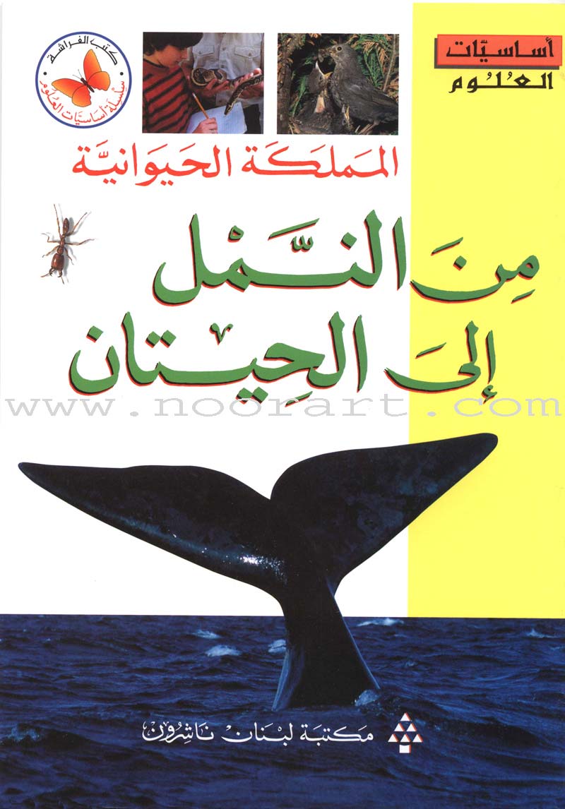 Science Basics: Level 3 (2 Books)