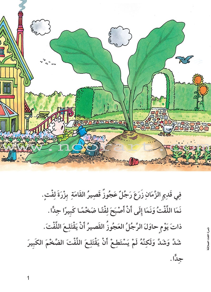 The Useful Reading Series: Level 1 (Set of 4 Books) سلسلة المطالعة المفيدة: المستوى الأول