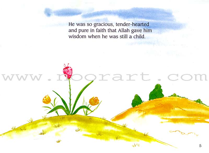 My Quran Stories (20 Quran Stories for Little Hearts, Paperback)