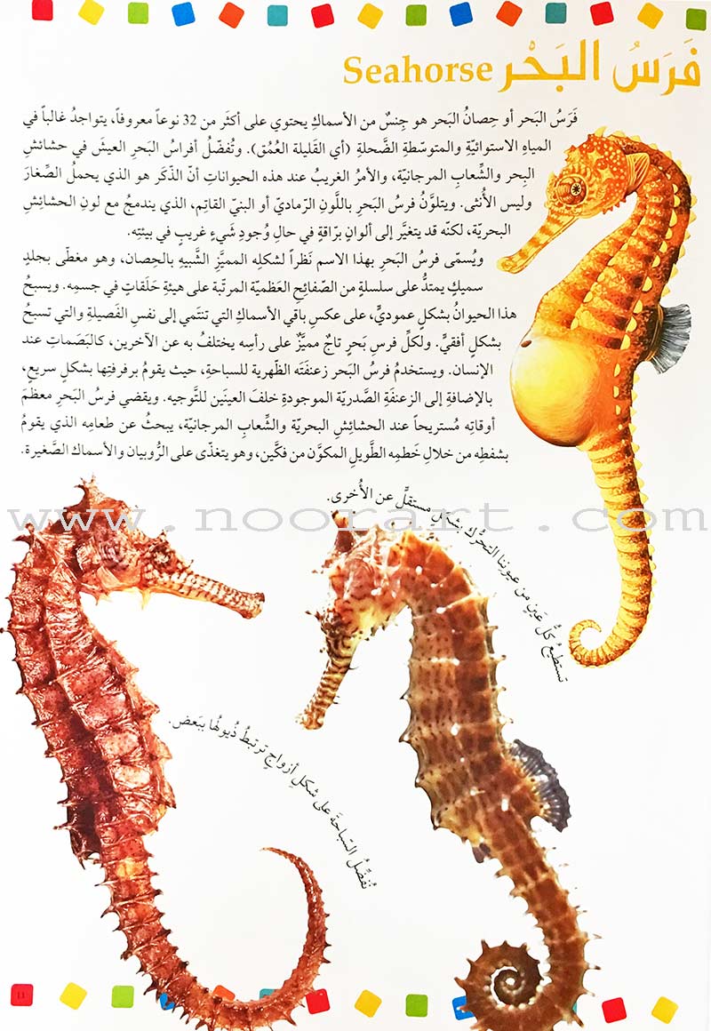 Encyclopedia of knowledge for young people (My giant book ,Set of 25 Books) موسوعة المعرفة للناشئة ,كتابي العملاق