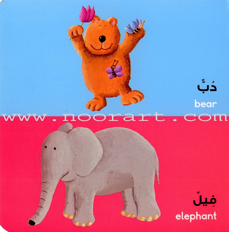 Arabic Words Board Book الكلمات العربية