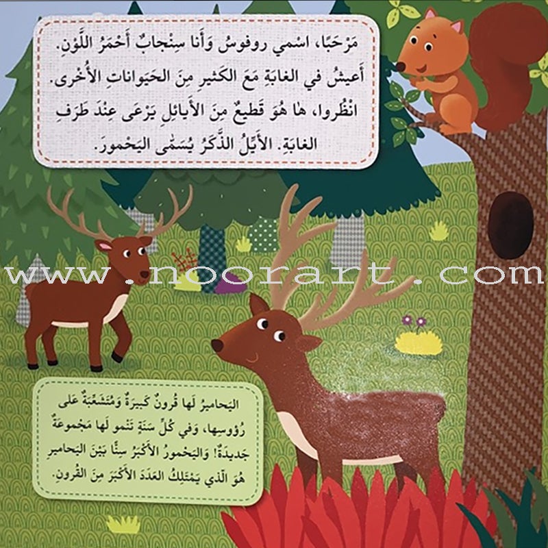 Play and Make Series (Set of 4 books)