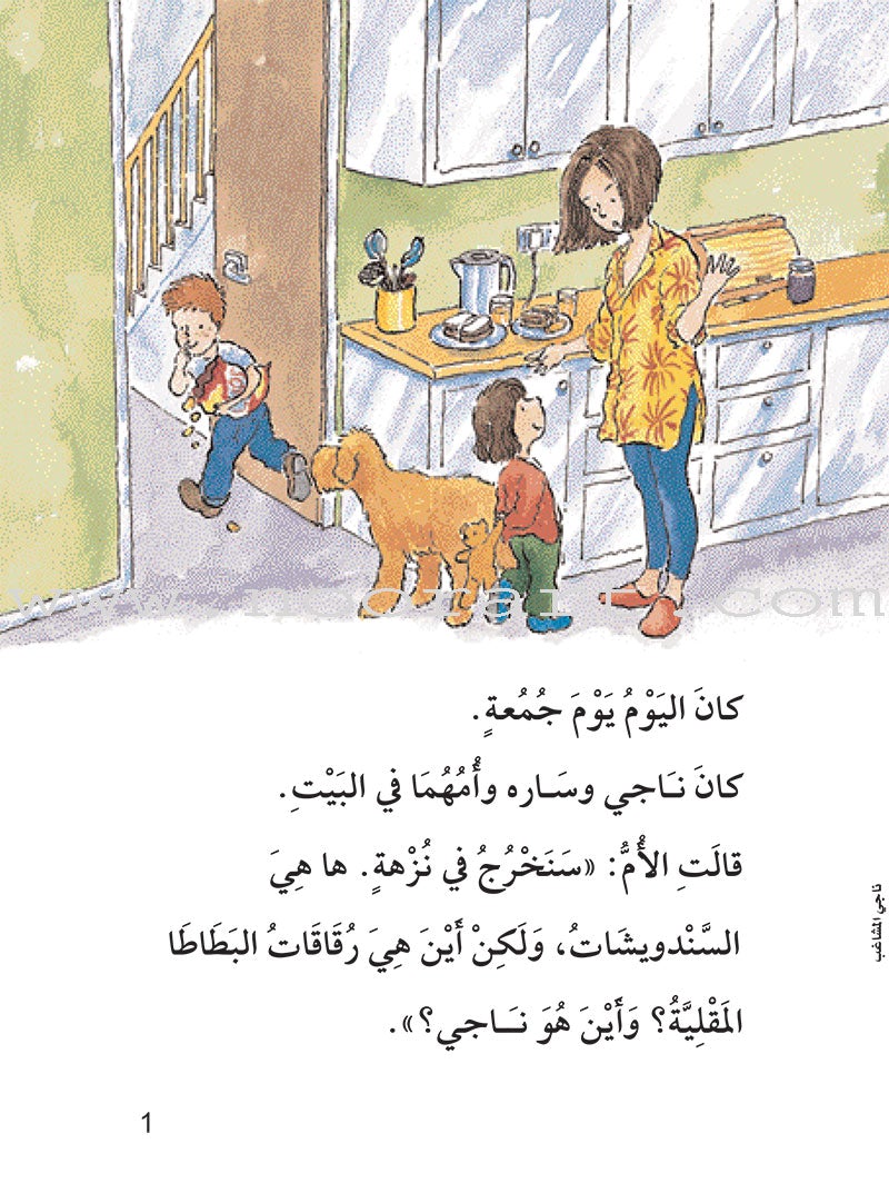 The Useful Reading Series: Level 2 (Set of 4 Books) سلسلة المطالعة المفيدة: المستوى الثاني