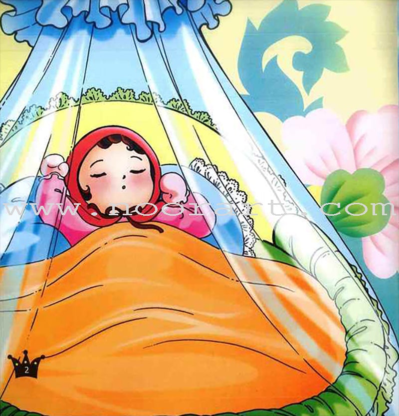 The 99 Names of Allah - Princess Series: Princess Karima and the Giant Eagles