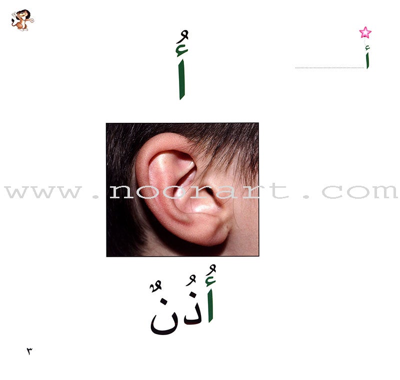 Ladder Reading Stories Box (28 Alphabets) سلسلة سلم القراءة داخل علبة