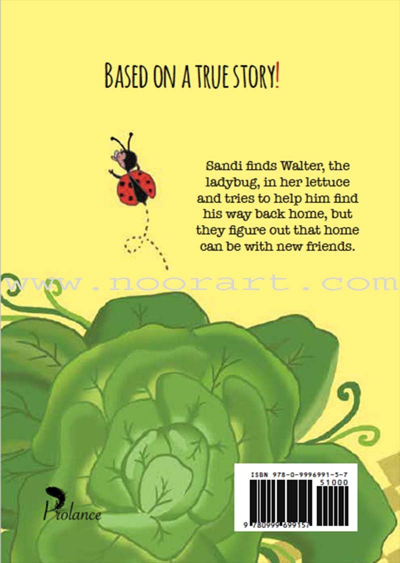 Sandi and the Ladybug