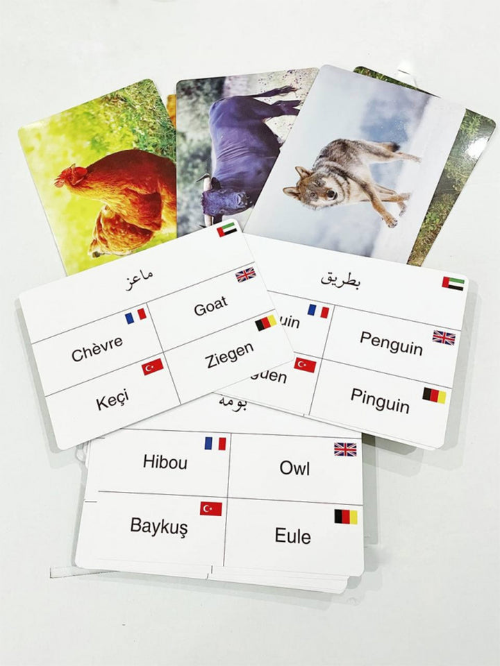 Animals Cards بطاقات الحيوانات