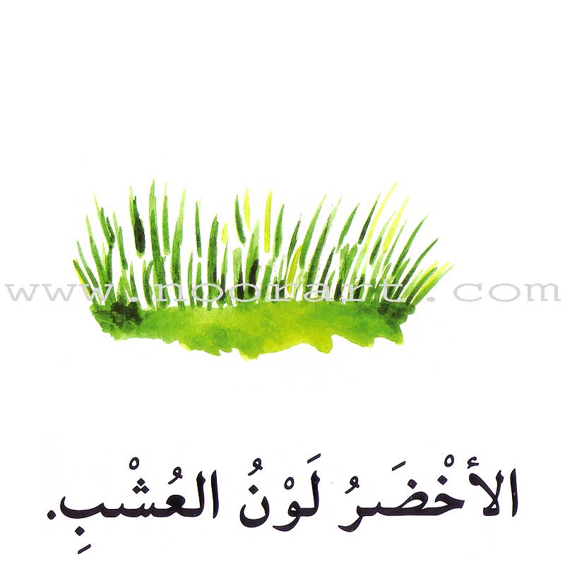 Read in Arabic Series - The Yellow Collection: Third Group (8 Books) سلسلة اقرأ بالعربية – المجموعة الصفراء