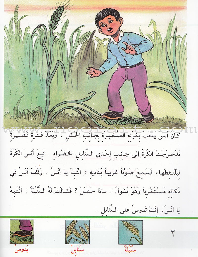 Arabic Graded Stories: Grade 4 (5 Books) مشروع المنهل التعليمي المستوى الرابع