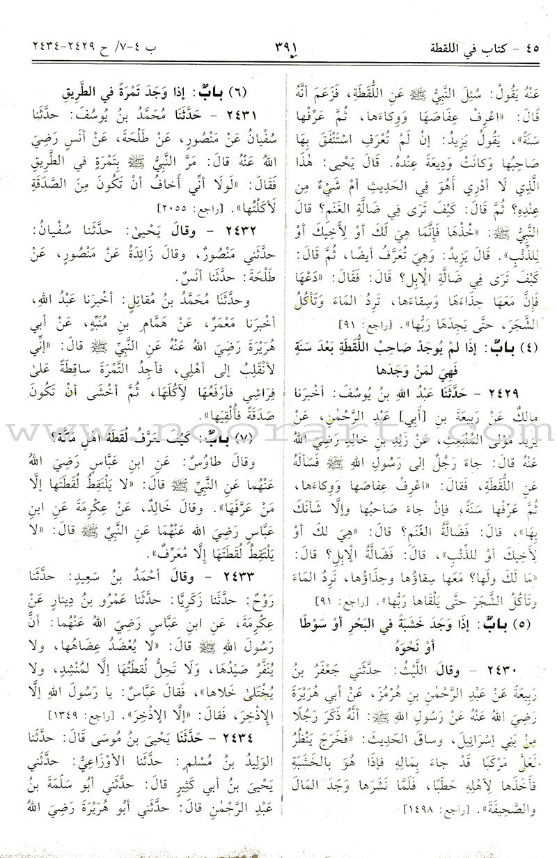 Sahih Al-Bukhari (Large, Color may vary) صحيح البخاري