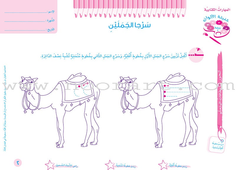 Educational Card - Collection of Letters and Numbers: Level KG2, Part 2 باقة حروف وأرقام
