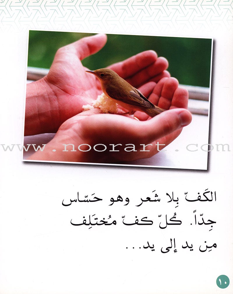 Small Wonders Level 1: The Hand