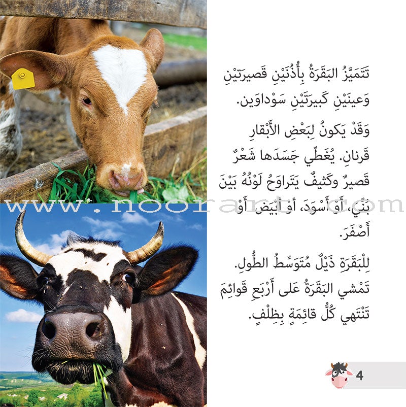 Let's Read and Discover Series (set of 5 books) سلسلة هيا نقرأ ونكتشف