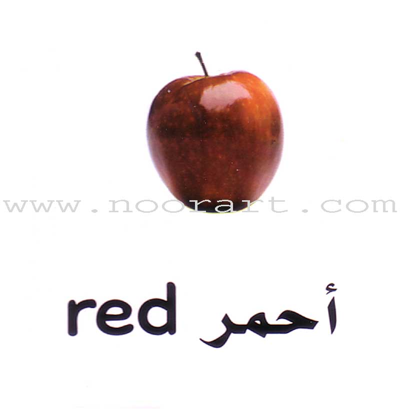 My First Learning Set (6 Books)