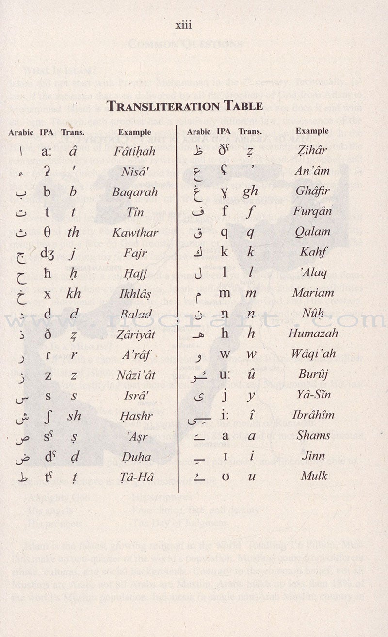 The Clear Quran with Thematic English Translation - Paperback (8.4" x 5.8") |10 copies bulk