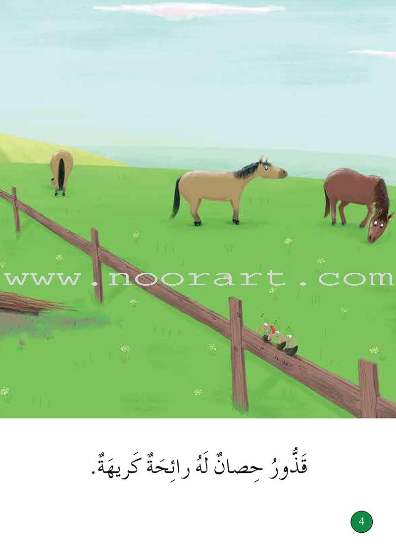 Graded Reading Series - Green Group: Level 5 (set of 5 Books) سلسلة القراءة المتدرجة مجموعة اللون الأخضر