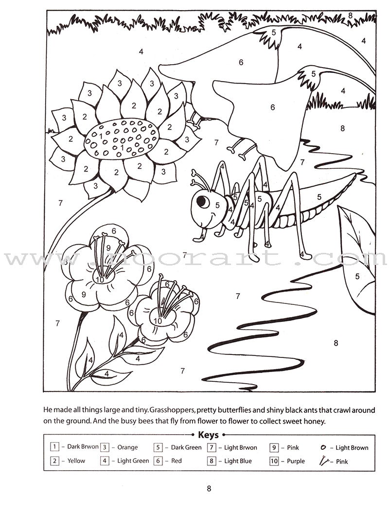 Quran and Sirah Story Mazes Gift Box (5 Books)