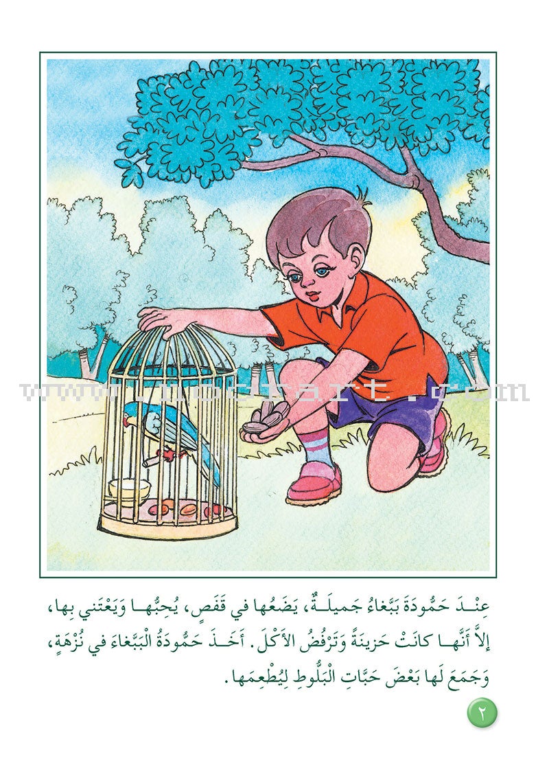Arabic Graded Stories: Grade 3 (4 Books)