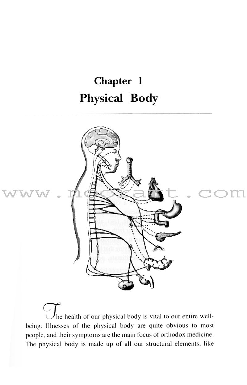 Healing Body & Soul: Your Guide to Holistic Wellbeing Following Islamic Teachings