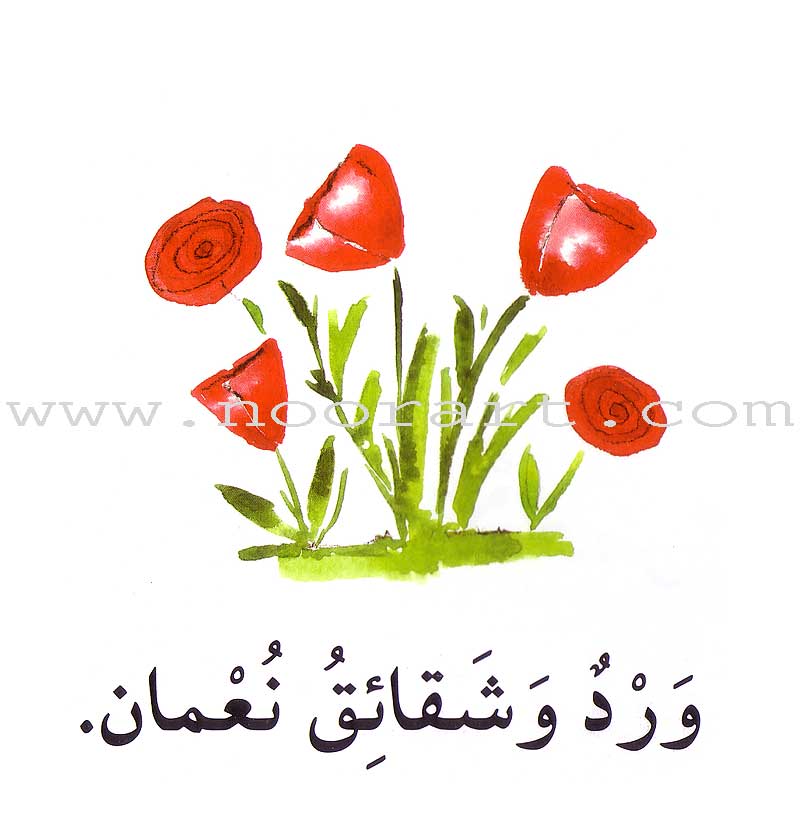 Read in Arabic Series - The Yellow Collection: Third Group (8 Books) سلسلة اقرأ بالعربية – المجموعة الصفراء