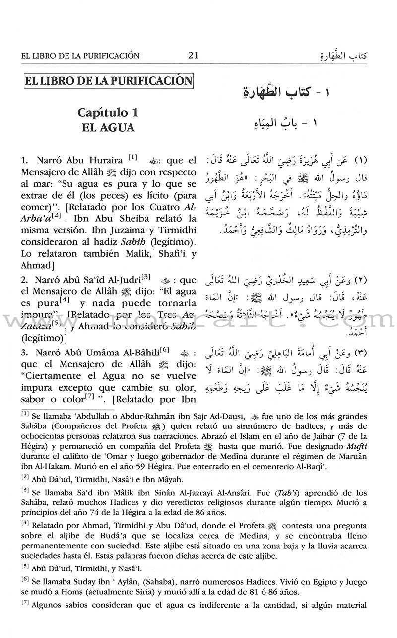 Bulug Al-Marâm - El Al cance de lo Deseado de las Evidencias de la Legislación (Spanish) بلوغ المرام