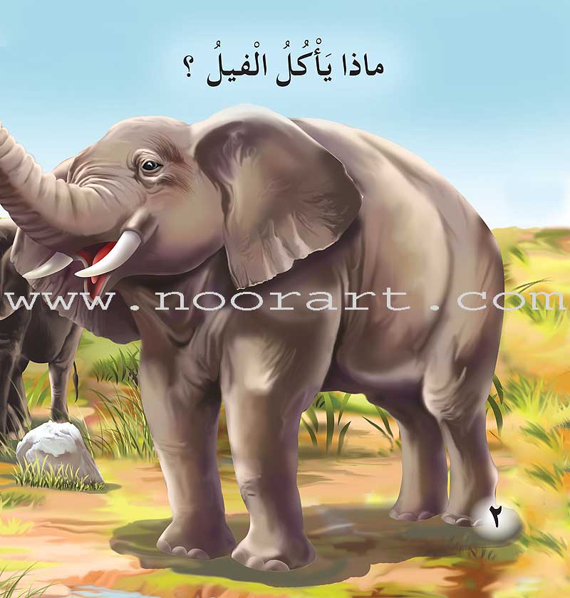 The Reading Club: Science (3 Books)