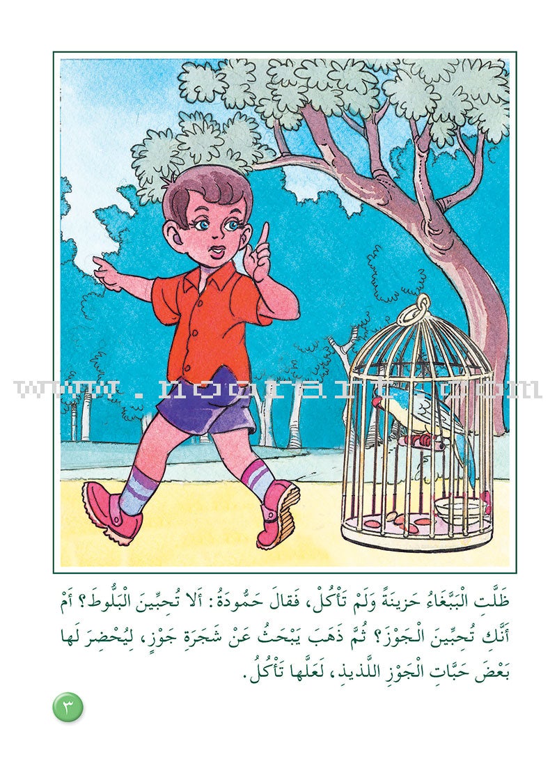 Arabic Graded Stories: Grade 3 (4 Books)