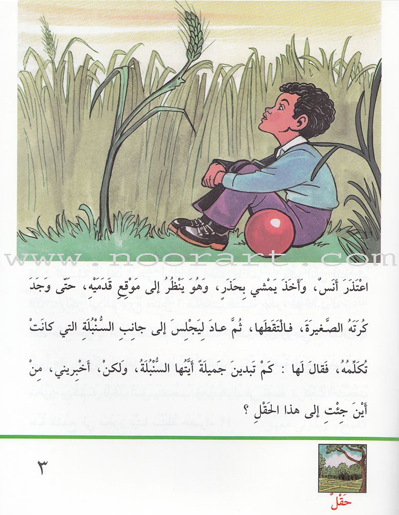 Arabic Graded Stories: Grade 4 (5 Books) مشروع المنهل التعليمي المستوى الرابع