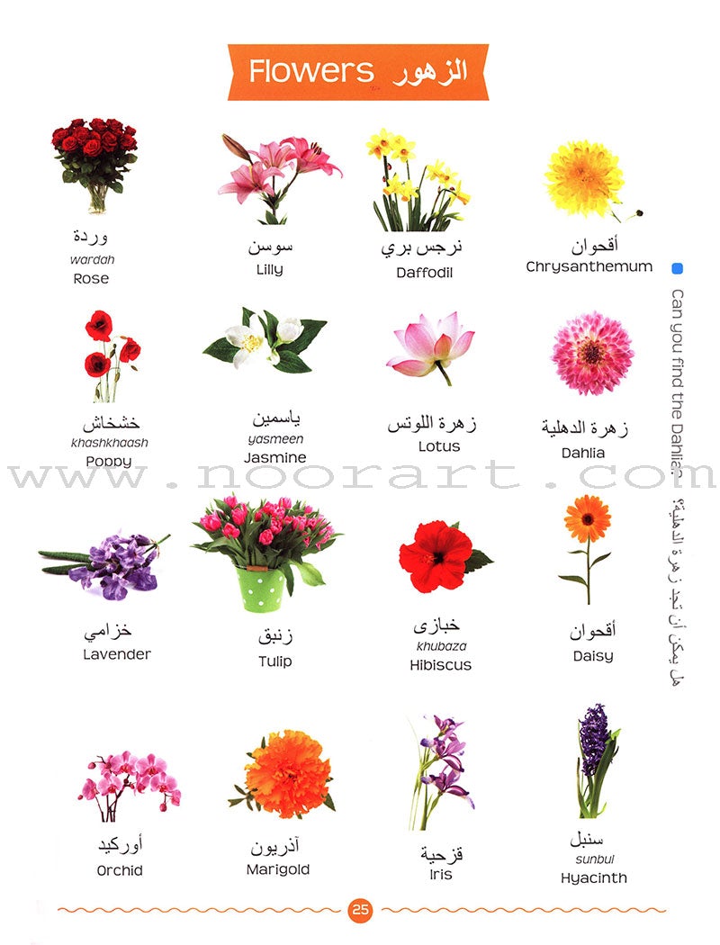 My First Arabic Word