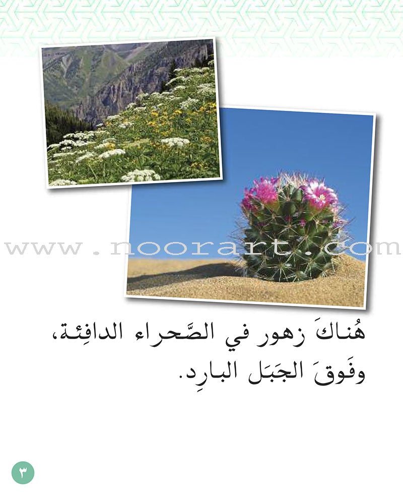 Small Wonders Level 1: Flowers