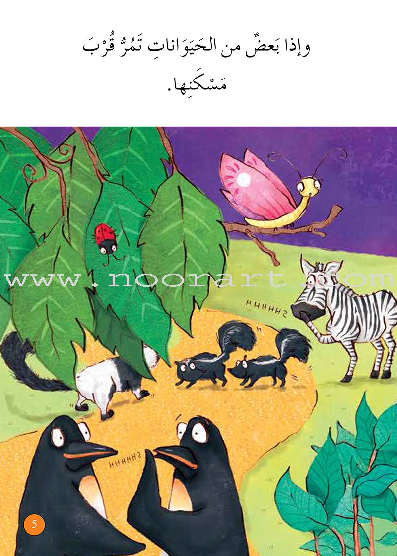 Graded Reading Series - Orange Group: Level 6 (set of 5 Books) سلسلة القراءة المتدرجة مجموعة اللون البرتقالي