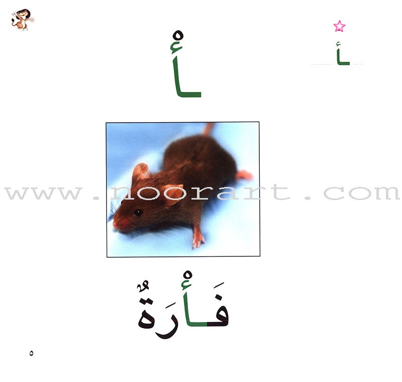 Ladder Reading Stories Box (28 Alphabets) سلسلة سلم القراءة داخل علبة