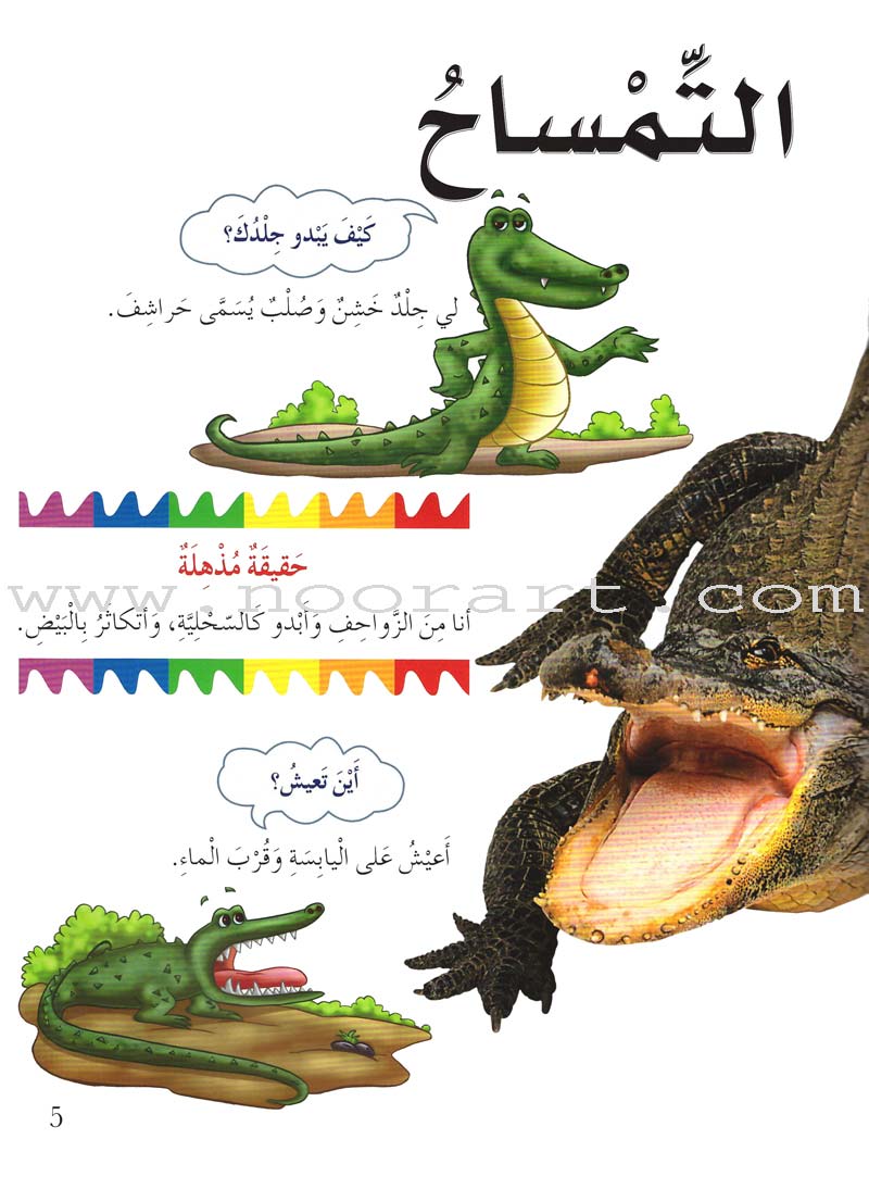 My First Questions and Answers Series سلسلة أسئلتي وأجوبتي الأولى