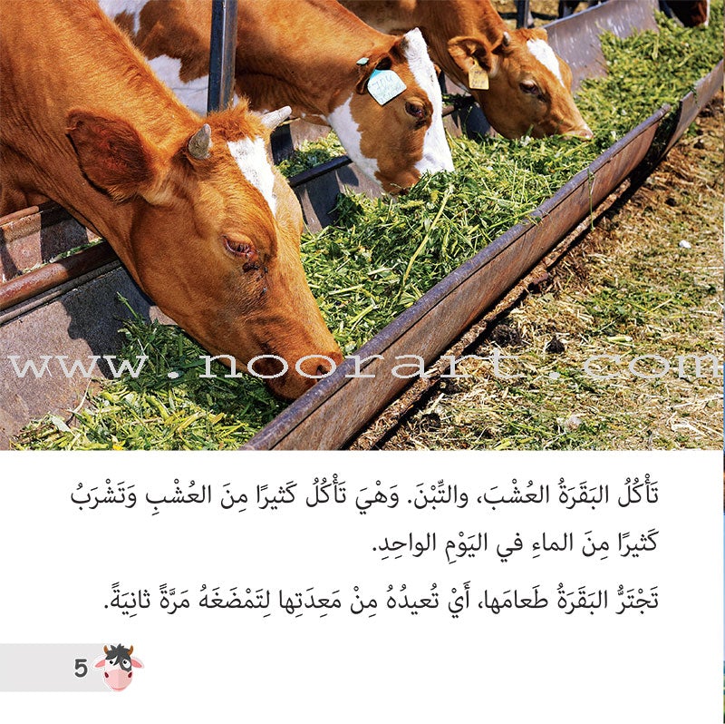Let's Read and Discover Series (set of 5 books) سلسلة هيا نقرأ ونكتشف