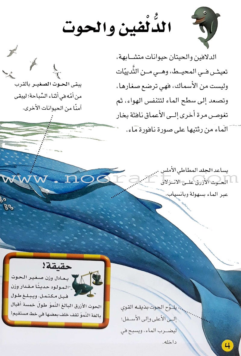 Learning Ladders (Set of 10 Books) سلالم التعلم