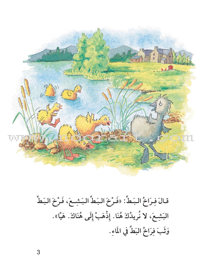 The Useful Reading Series: Level 5 (Set of 4 Books) سلسلة المطالعة المفيدة: المستوى الخامس