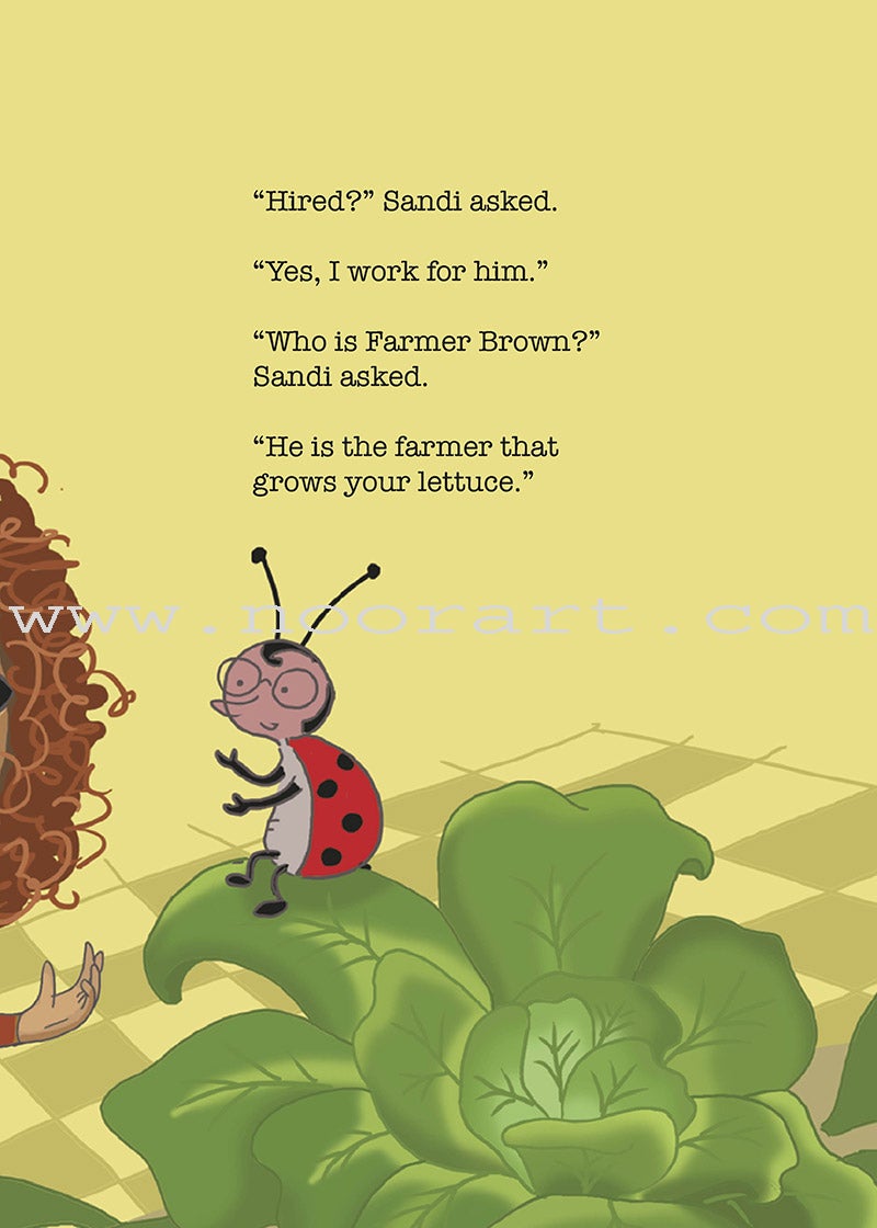 Sandi and the Ladybug