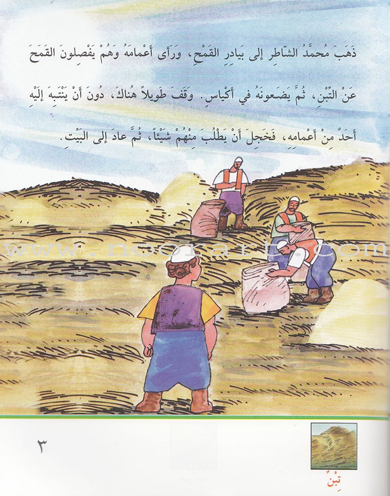 Arabic Graded Stories: Grade 4 (5 Books) مشروع المنهل التعليمي المستوى الرابع