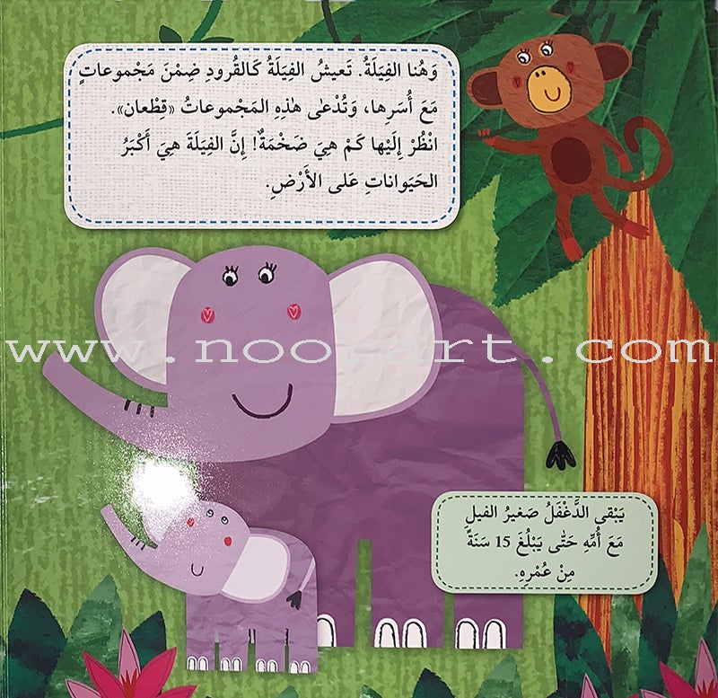 Play and Make Series (Set of 4 books)