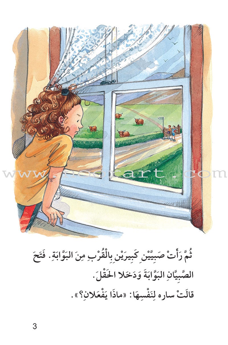 The Useful Reading Series: Level 8 (Set of 4 Books) سلسلة المطالعة المفيدة: المستوى الثامن